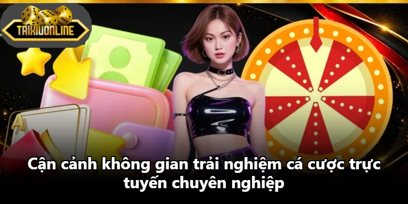 Cận cảnh không gian trải nghiệm cá cược trực tuyến chuyên nghiệp Cận cảnh không gian trải nghiệm cá cược trực tuyến chuyên nghiệp