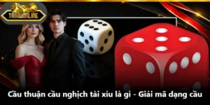 Cầu Thuận Cầu Nghịch Tài Xỉu Là Gì - Giải Mã Dạng Cầu