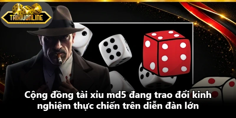 Cộng đồng tài xỉu md5 đang trao đổi kinh nghiệm thực chiến trên diễn đàn lớn