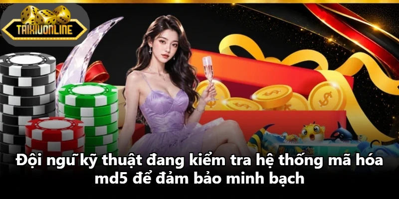 Đội ngũ kỹ thuật đang kiểm tra hệ thống mã hóa md5 để đảm bảo minh bạch